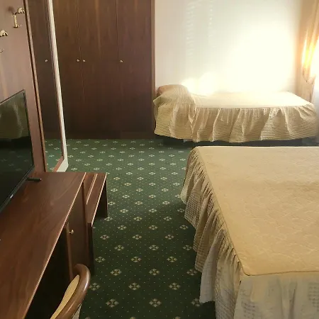 戈里齐亚国际酒店 酒店 3*